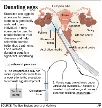 how much money does an egg donor make