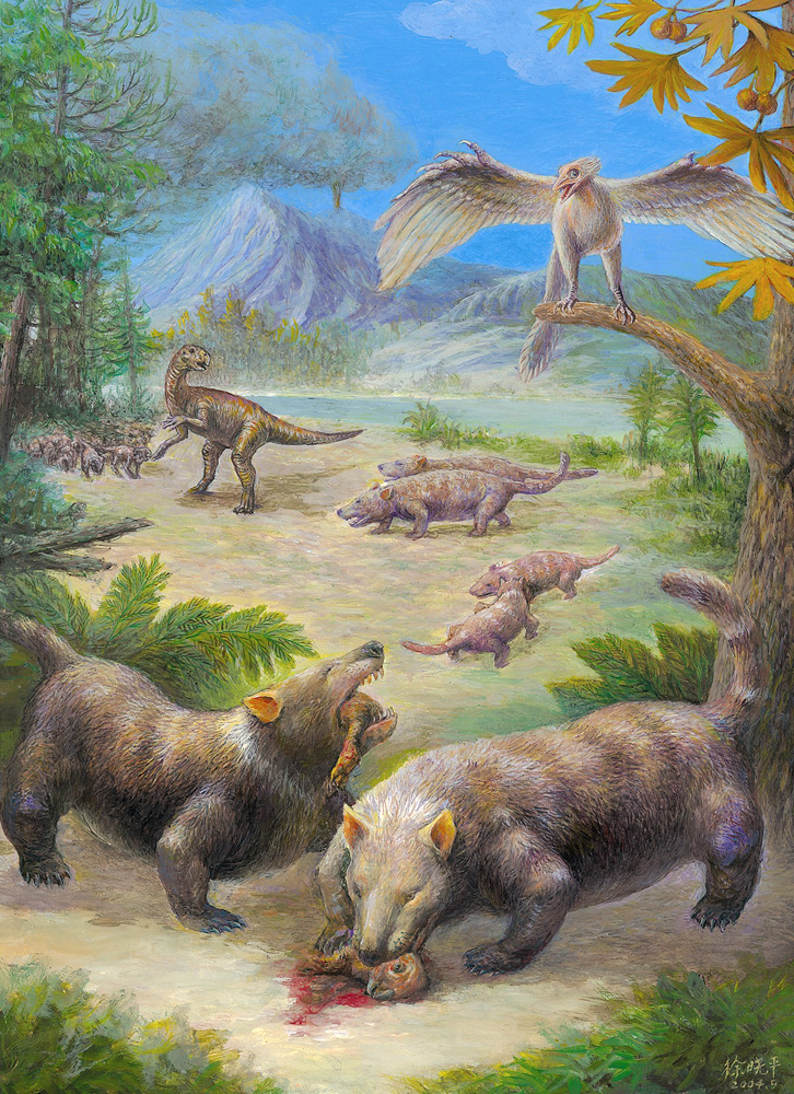 Early mammal dined on dinosaurs