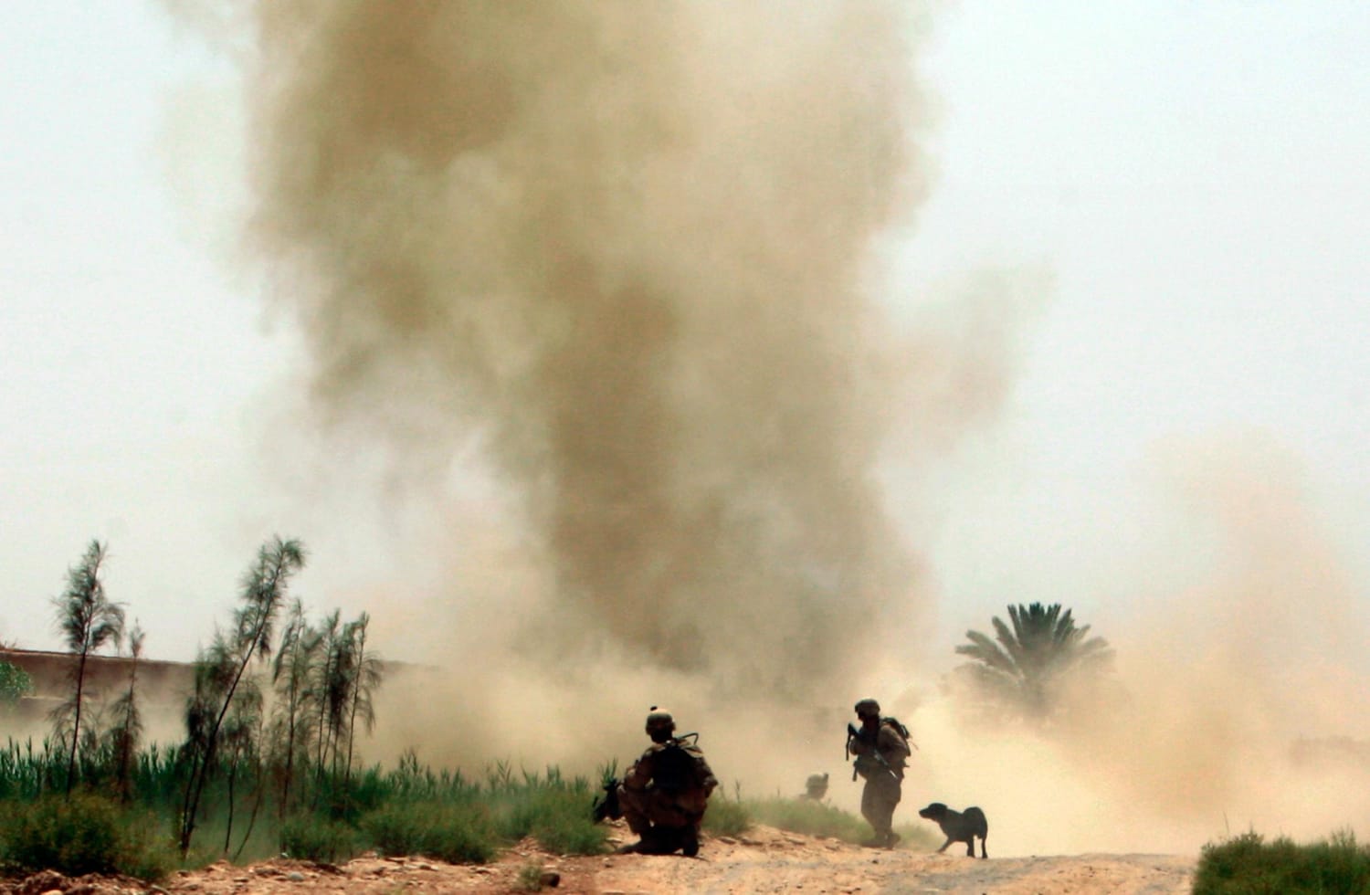 IED Shockwaves Inject Hidden Damage in Troops, Study Claims - NBC News2420 x 1581