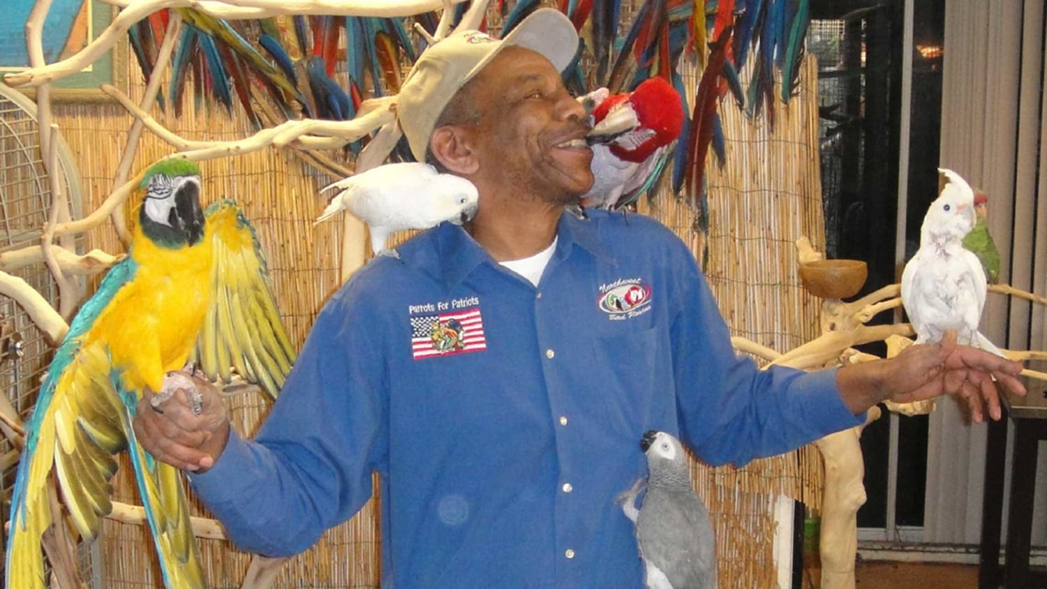 Parrots for Patriots: How rescued birds are helping veterans heal
