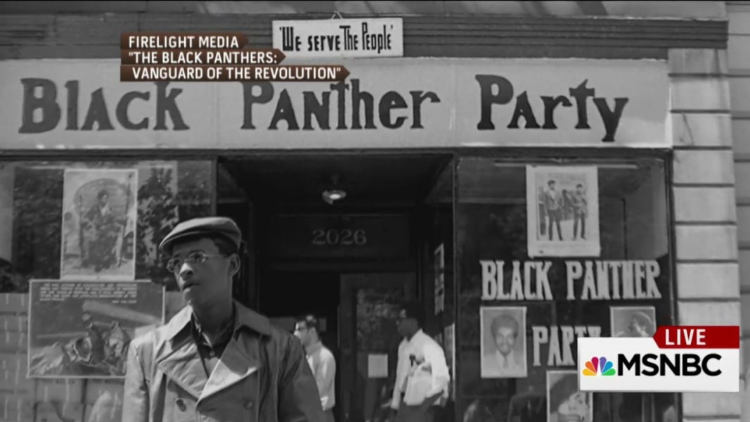 Who Were Black Panthers 6