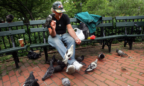 Image result for FEEDING PIGEONS PICS