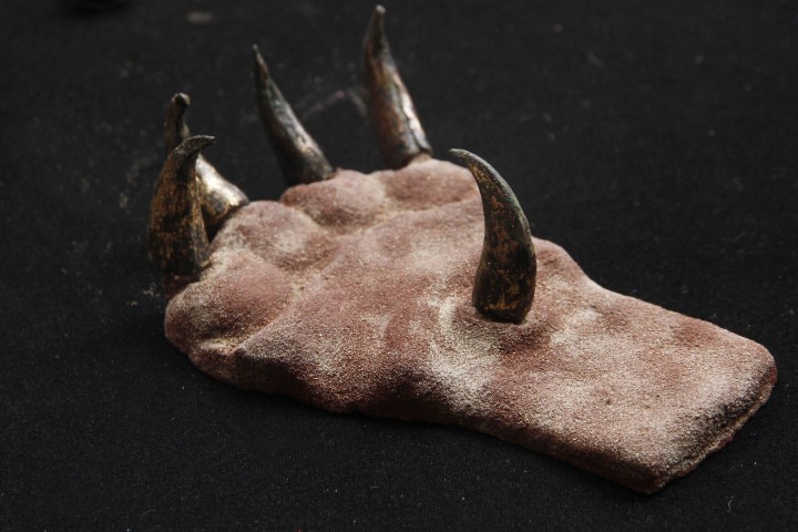 Интригующая находка археологов— 1500-летние когти 