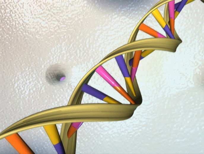 A DNA double helix in an undated artist's illustration released by the National Human Genome Research Institute to Reuters
