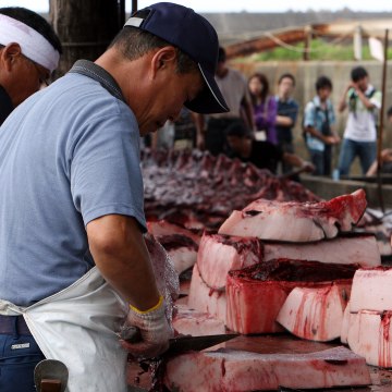 Price Of Whale Meat Japan 71
