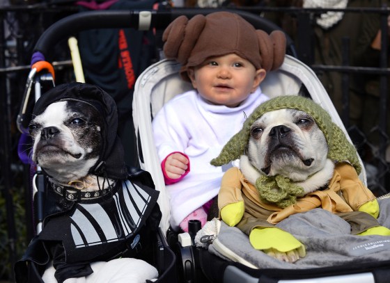 Dogs and baby dressed as characters from "Star Wars" attend the 23rd Annual Tompkins Square Halloween Dog Parade on October 26, 2013 in New York City....