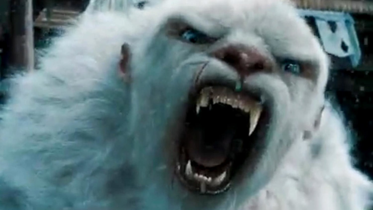 Was It a Yeti? Bigfoot? Hair DNA Reveals Monsters' True Identity - NBC News