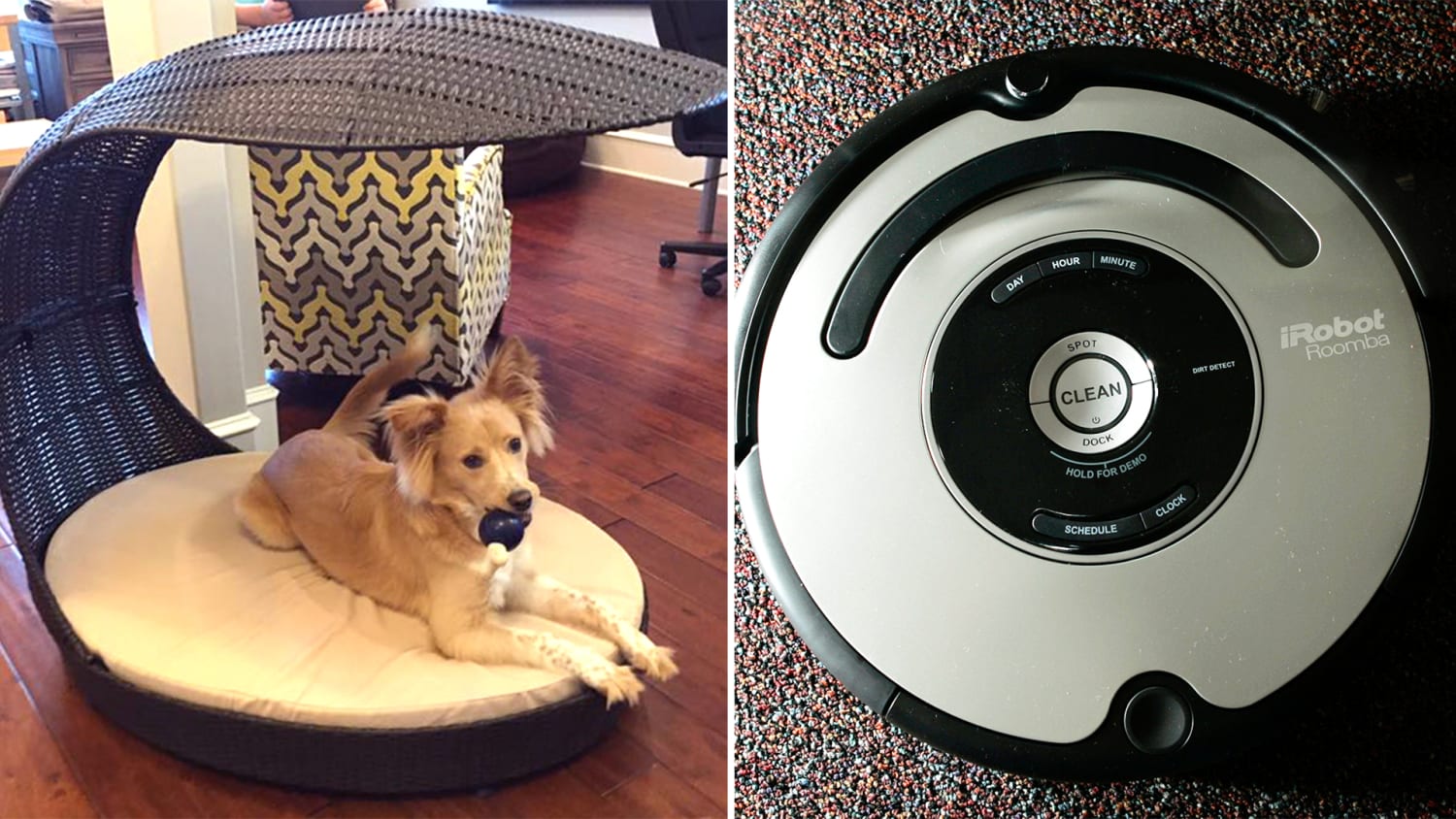When Roomba met dog poop: Man’s ‘poopocalypse’ goes viral ...