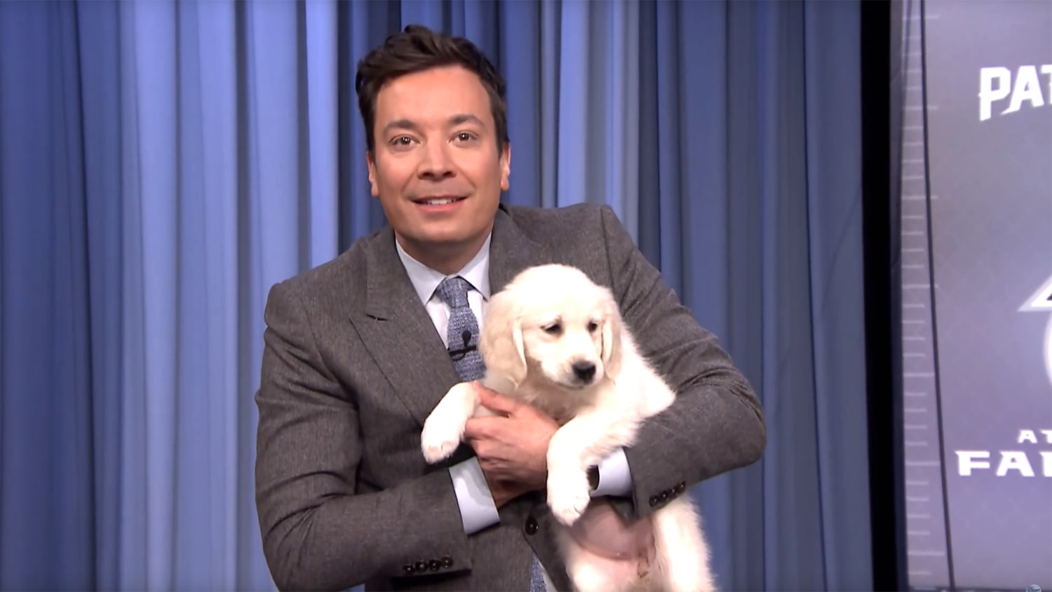 Jimmy Fallon Unleashes The Hounds Lets Puppies Predict The Super Bowl