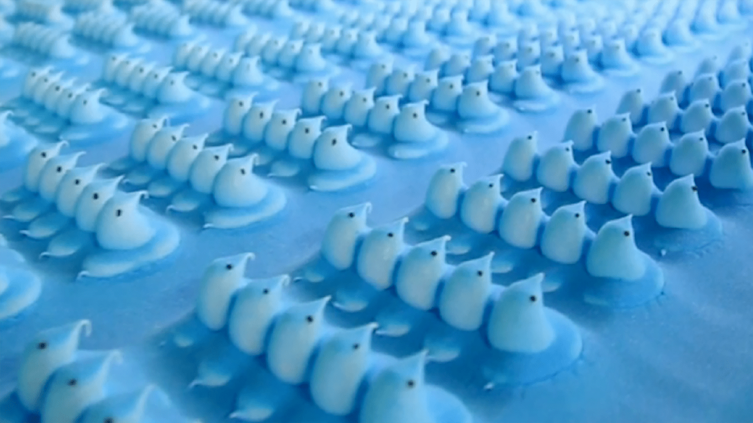 How Marshmallow Peeps Are Made