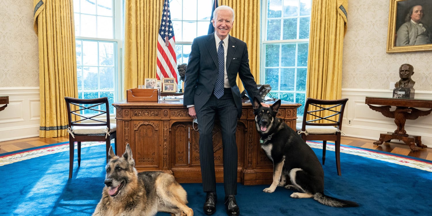 President Joe Biden poses with his dogs in the Oval Office