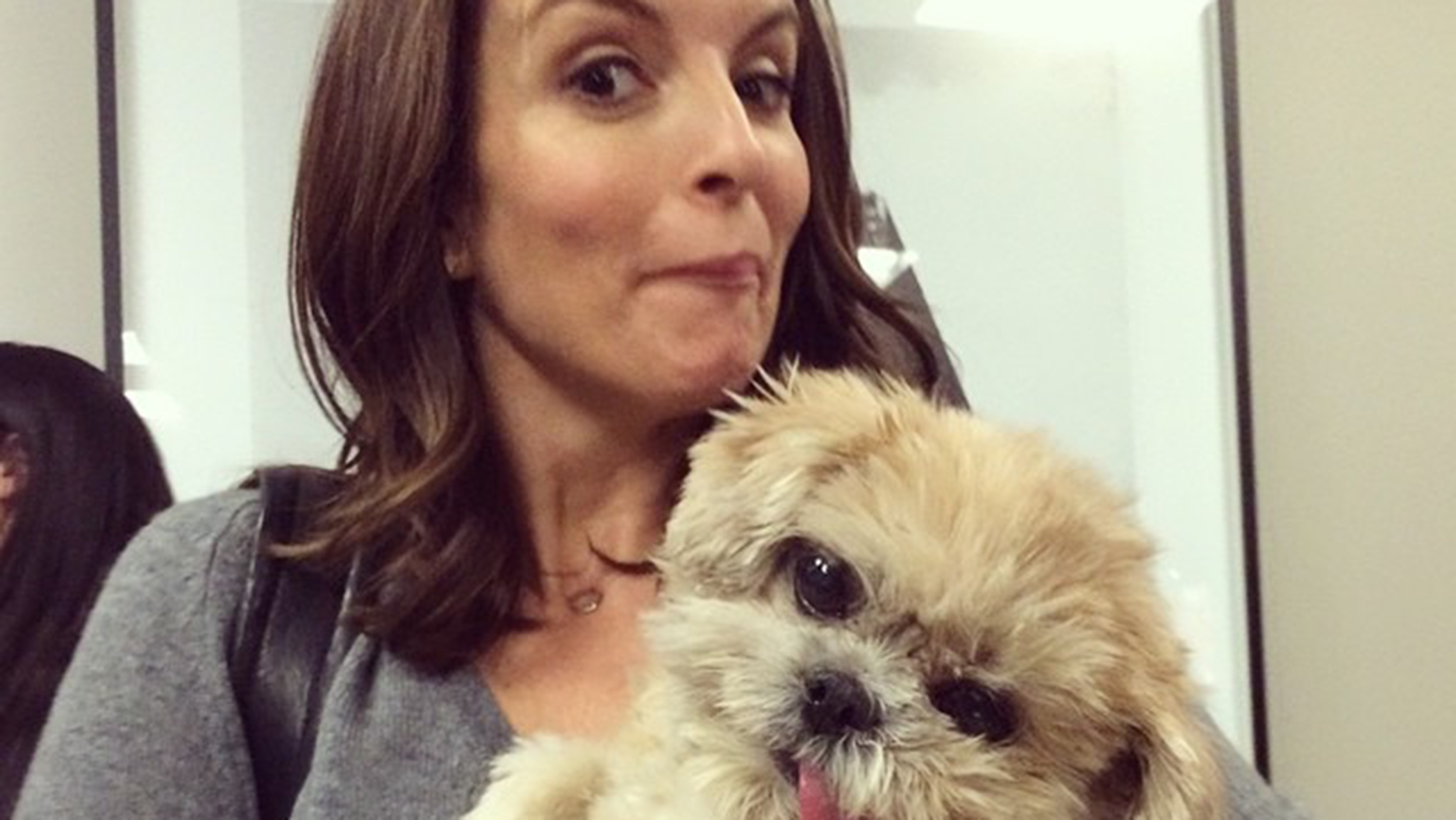 Marnie the Dog: Shih Tzu charms Tina Fey, Jonah Hill, the Internet ...