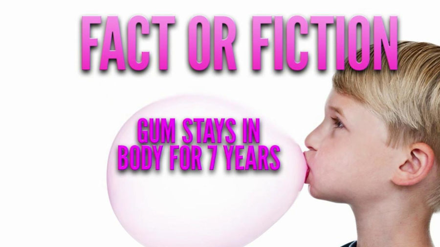 How long does it take for gum to digest?