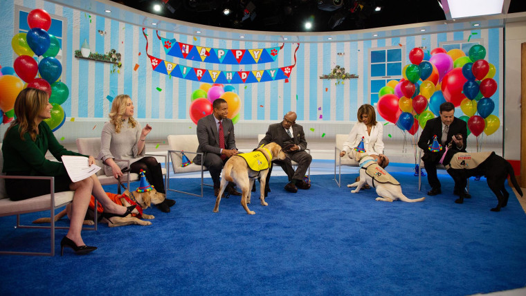 puppy party today show