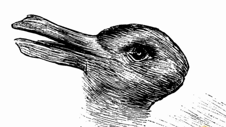 Image result for picture of duck or rabbit