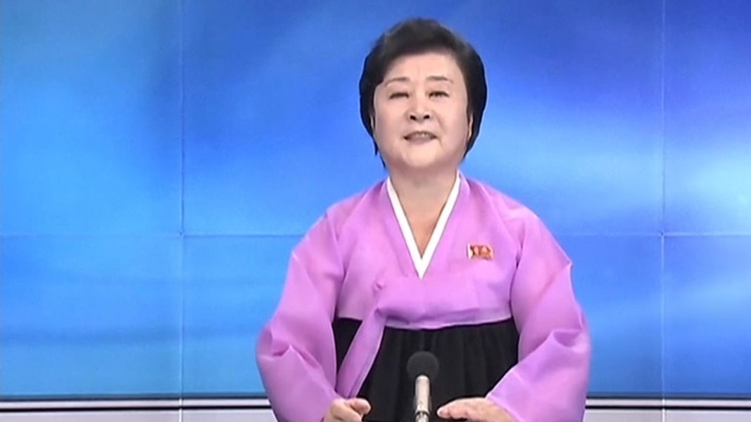 Image result for north korean state television news caster