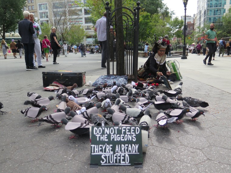 آیا  فکر  می‌کنید  Pigeons  یک  Nuisance  است  ?  دیدار  با  کبوتر