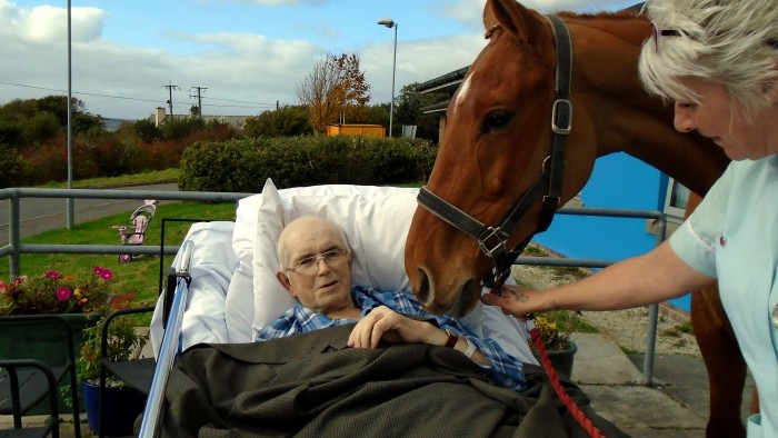 Horse visits dying man.