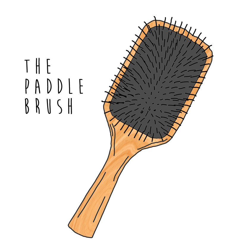 Paddle brush