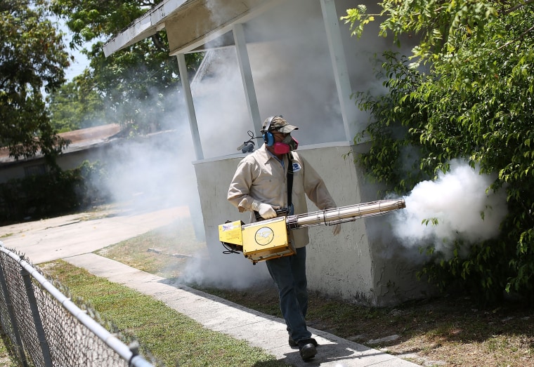 پرونده جدید Zika در سن پترزبورگ در فلوریدا یافت شد