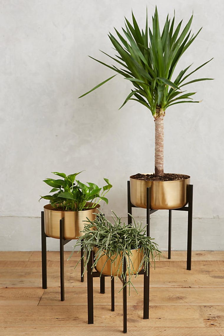 Where to buy planters and flower pots for outdoor and 