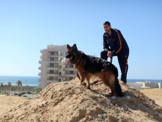 Hamas Bans Dog Walking in the Gaza Strip