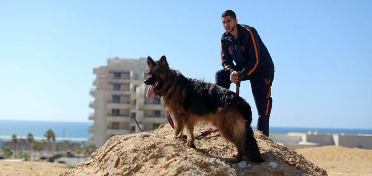 Hamas Bans Dog Walking in the Gaza Strip