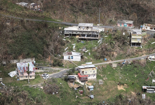 Image: Downed trees surround damaged homes in the aftermath of Hurricane Maria