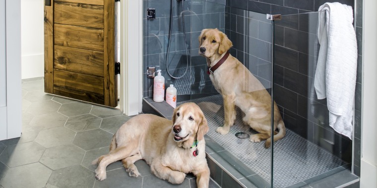 dog baths for home