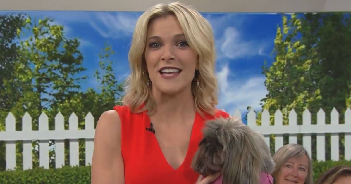 Megyn Kelly's dog Basha has died: 'I had 14 beautiful years with her'