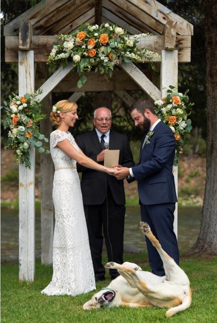 Dog hilariously photobombs couple's wedding photo
