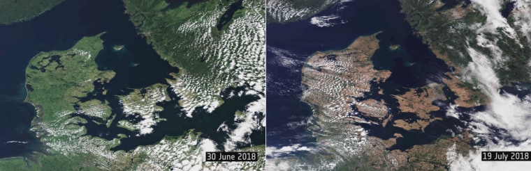 Image: Europe drought