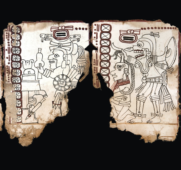 Image: Maya Text