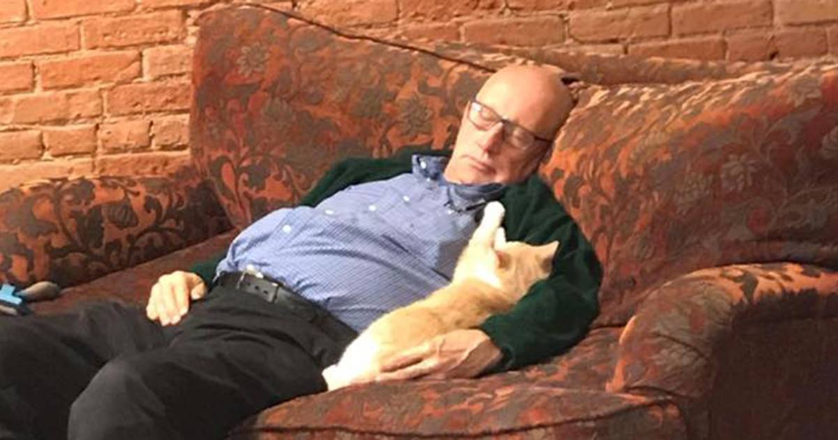 Volunteer helps raise money for pet shelter ... by napping with cats