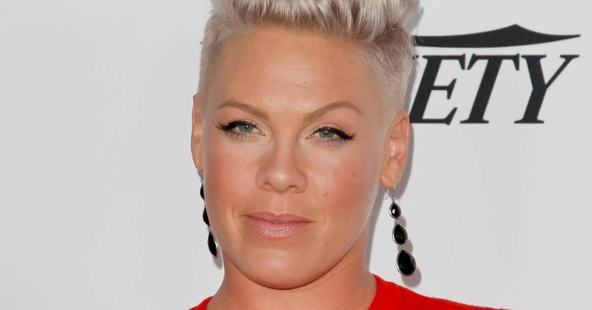 Pink mourns the loss of her beloved dog after she says one last 'goodbye'