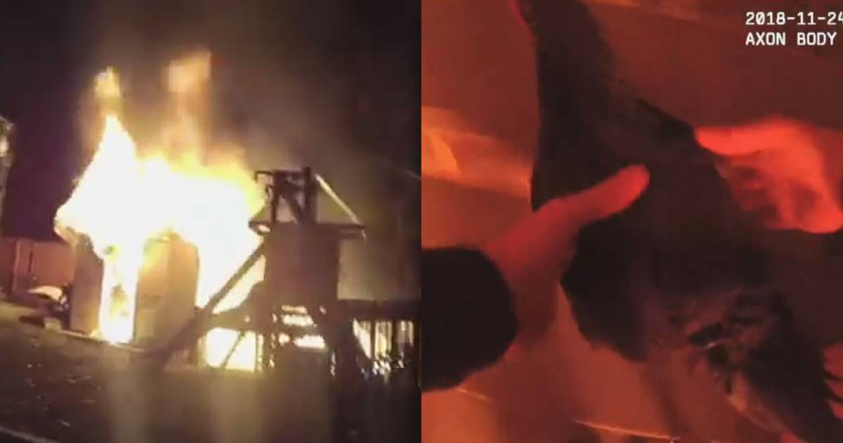 Video captures police officer saving clucking chicken from fire