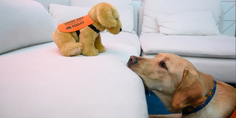 guide dog soft toy