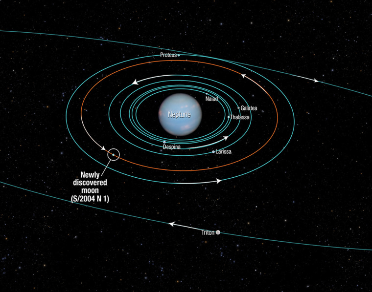 Image: Neptune Moon Diagram