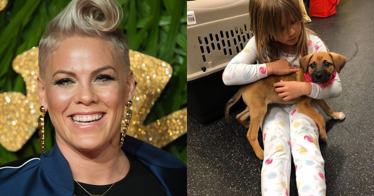 Pink welcomes a rescue puppy to her family — and gives him an adorable name