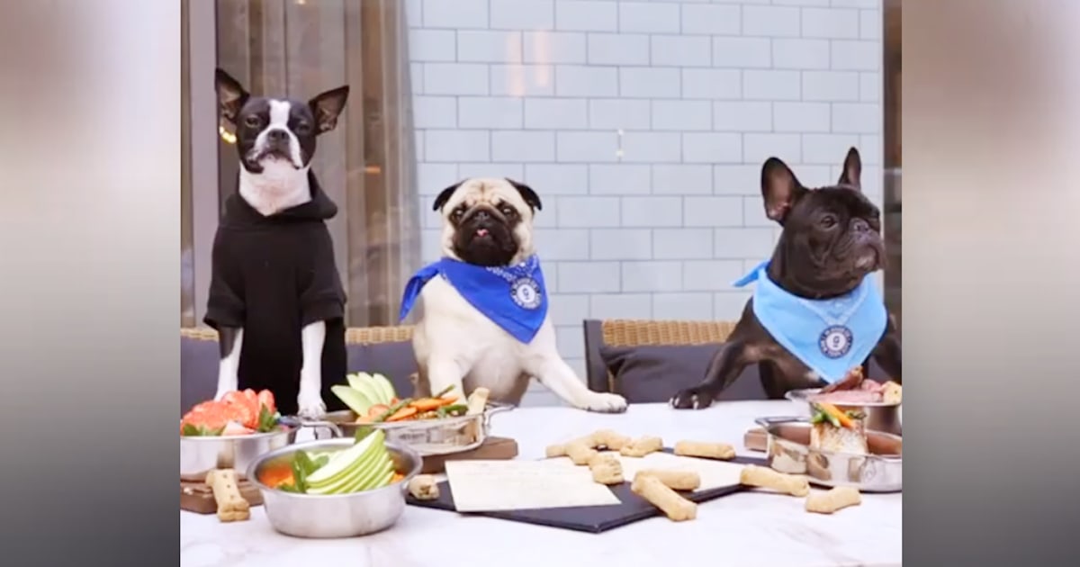 Bone appétit! Pet-friendly restaurant offers $40 steak for your dog