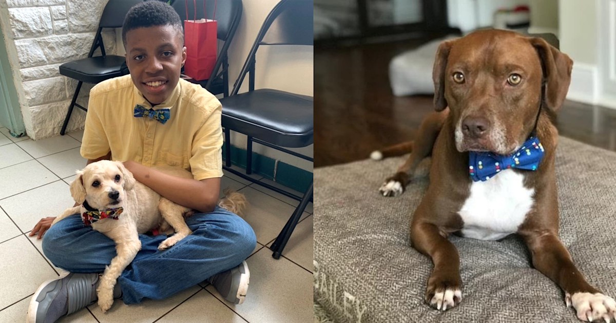 12-year-old boy designs bow ties to help pets get adopted