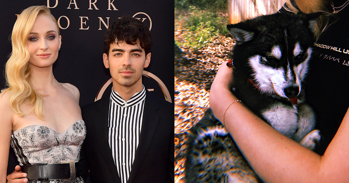 Joe Jonas and Sophie Turner pay tribute to late dog with matching tattoos
