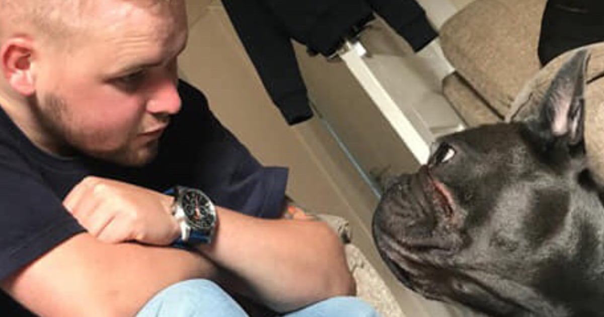 Beloved dog passes away minutes after owner dies of cancer