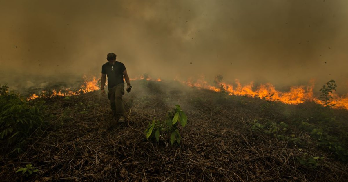 Climate Change Oxygen And Biodiversity Amazon Rainforest Fires Leave Plenty At Stake