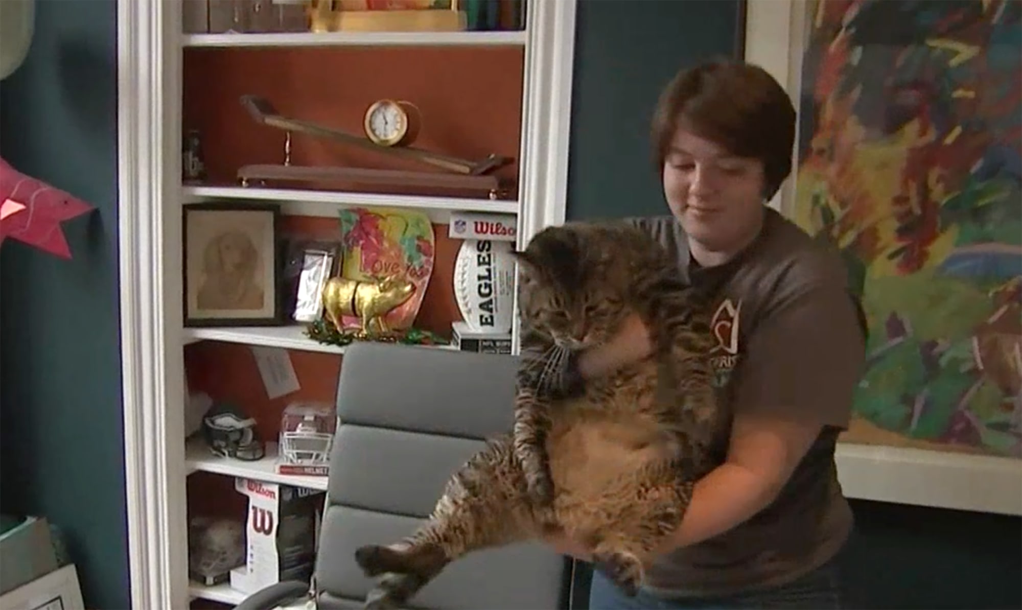 Chunky Cat Finds Home