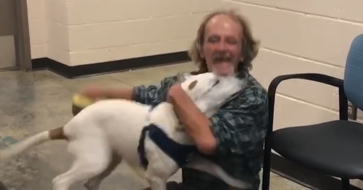 Homeless man reunites with lost dog in heartwarming video