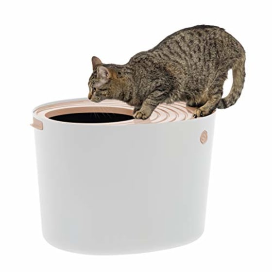 best litter box for two cats