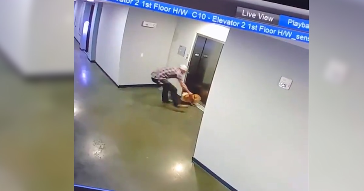 Harrowing video shows man saving dog after its leash is caught in an elevator