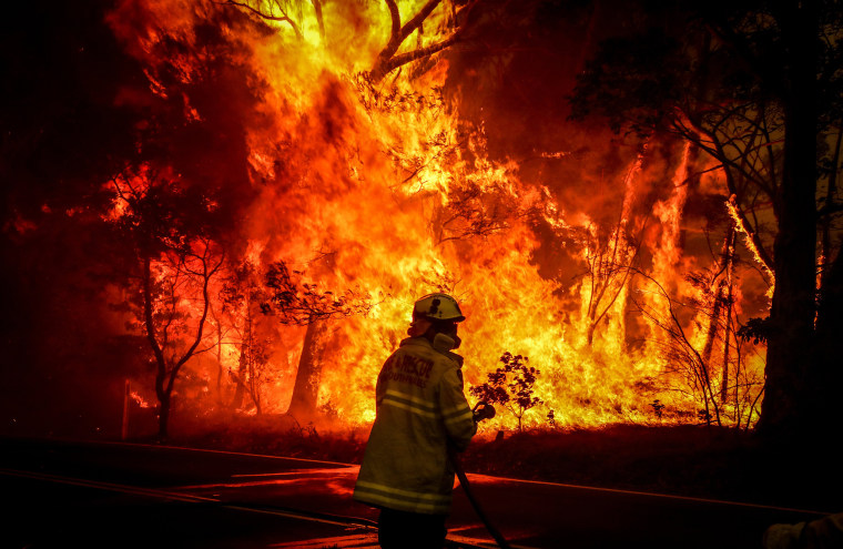Image result for australian fires
