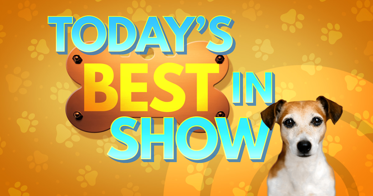 TODAY's 'Best in Show' contest has a winner!